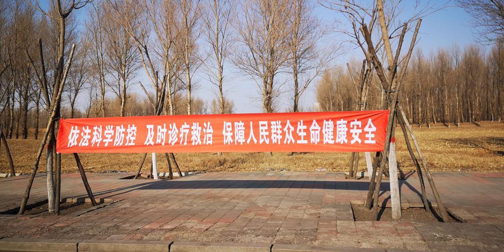 徕丽视觉摄影